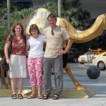 Dubai Camel