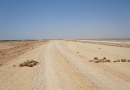 ab durch die Wüste