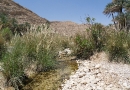 Wadi Bani Khalid